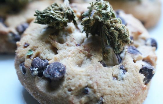 Read more about the article The Kulture of Edibles in Canada