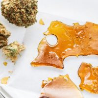 Cannabis Concentrates 101: A Comprehensive Guide for Beginners